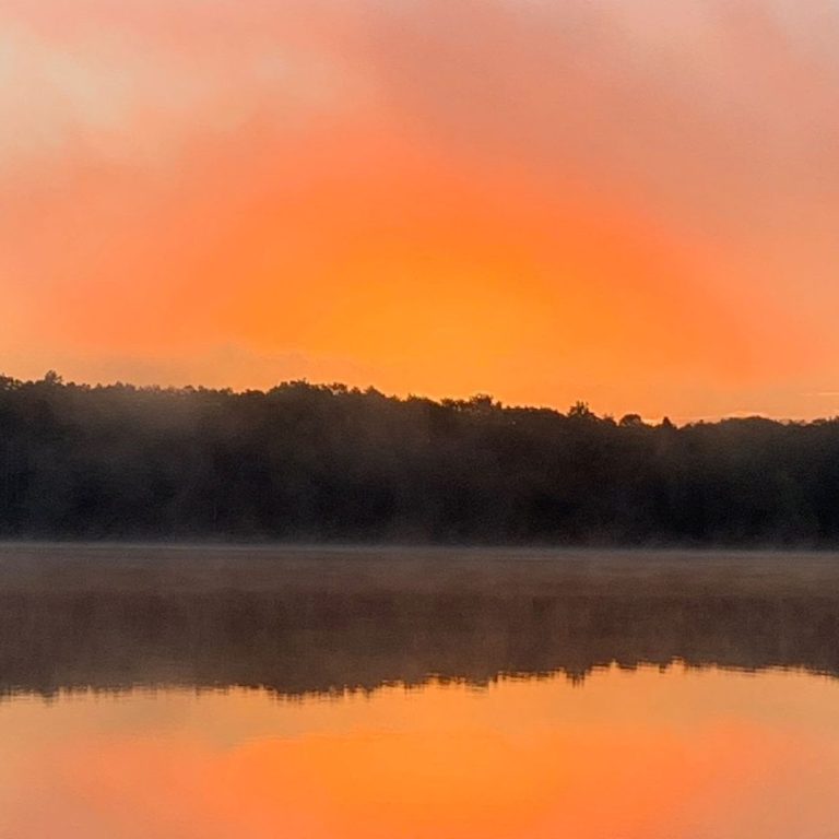 Owners Owners Chris Daood and Heather Lee Schmidt